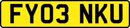 FY03NKU