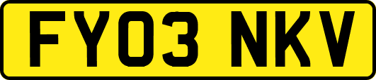 FY03NKV
