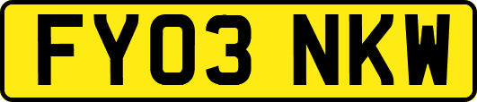 FY03NKW