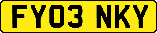 FY03NKY