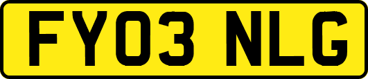 FY03NLG