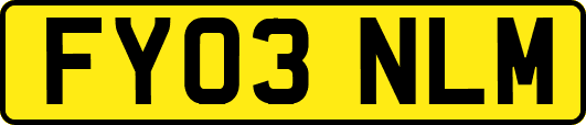 FY03NLM
