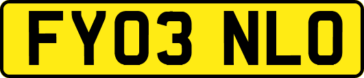 FY03NLO