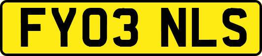FY03NLS