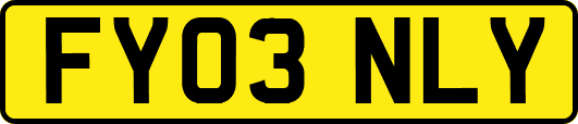 FY03NLY