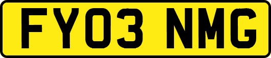 FY03NMG