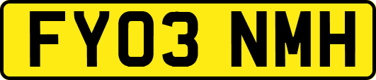 FY03NMH