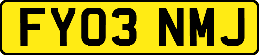 FY03NMJ