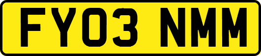 FY03NMM