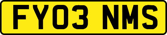 FY03NMS