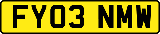 FY03NMW