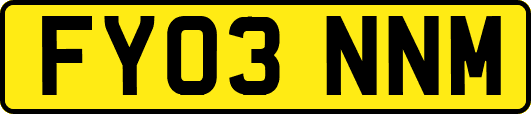 FY03NNM