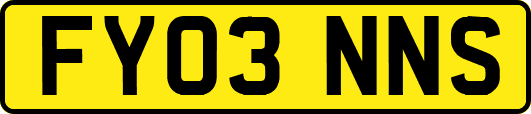 FY03NNS