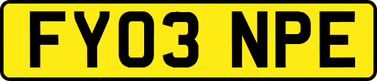 FY03NPE