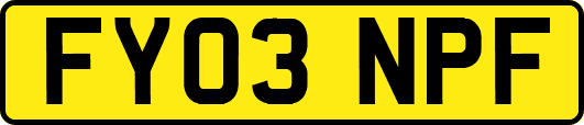 FY03NPF