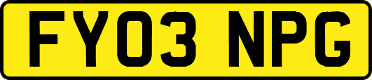 FY03NPG
