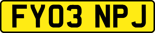 FY03NPJ