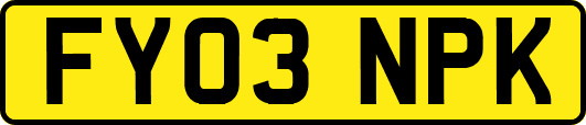 FY03NPK