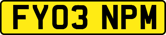 FY03NPM