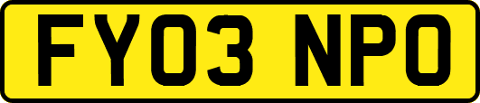 FY03NPO