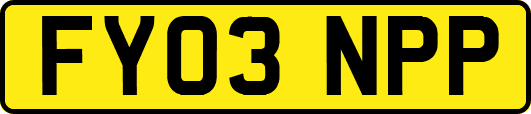 FY03NPP