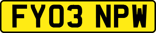 FY03NPW