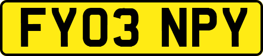 FY03NPY