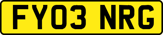 FY03NRG