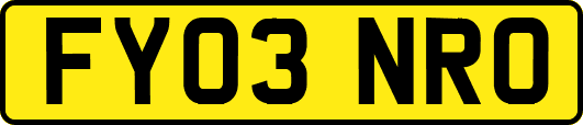 FY03NRO
