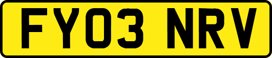 FY03NRV