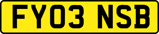 FY03NSB