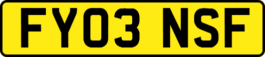 FY03NSF
