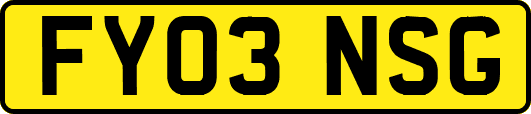 FY03NSG
