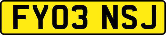 FY03NSJ