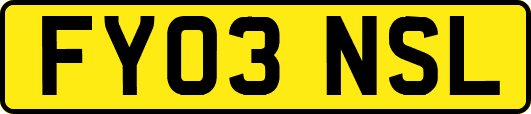 FY03NSL