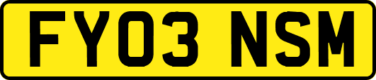 FY03NSM