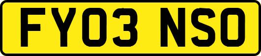 FY03NSO