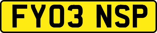 FY03NSP