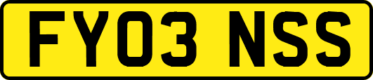 FY03NSS