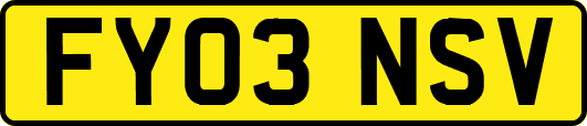 FY03NSV
