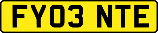 FY03NTE