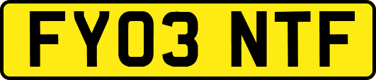 FY03NTF
