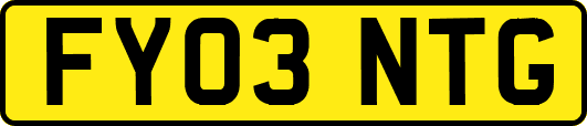FY03NTG