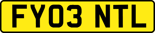 FY03NTL