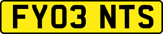 FY03NTS