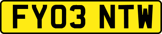 FY03NTW
