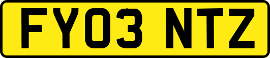 FY03NTZ
