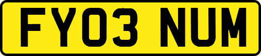 FY03NUM