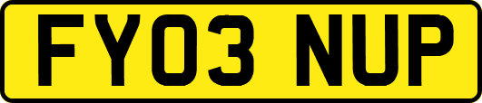 FY03NUP