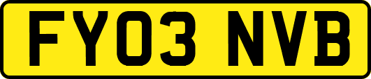 FY03NVB